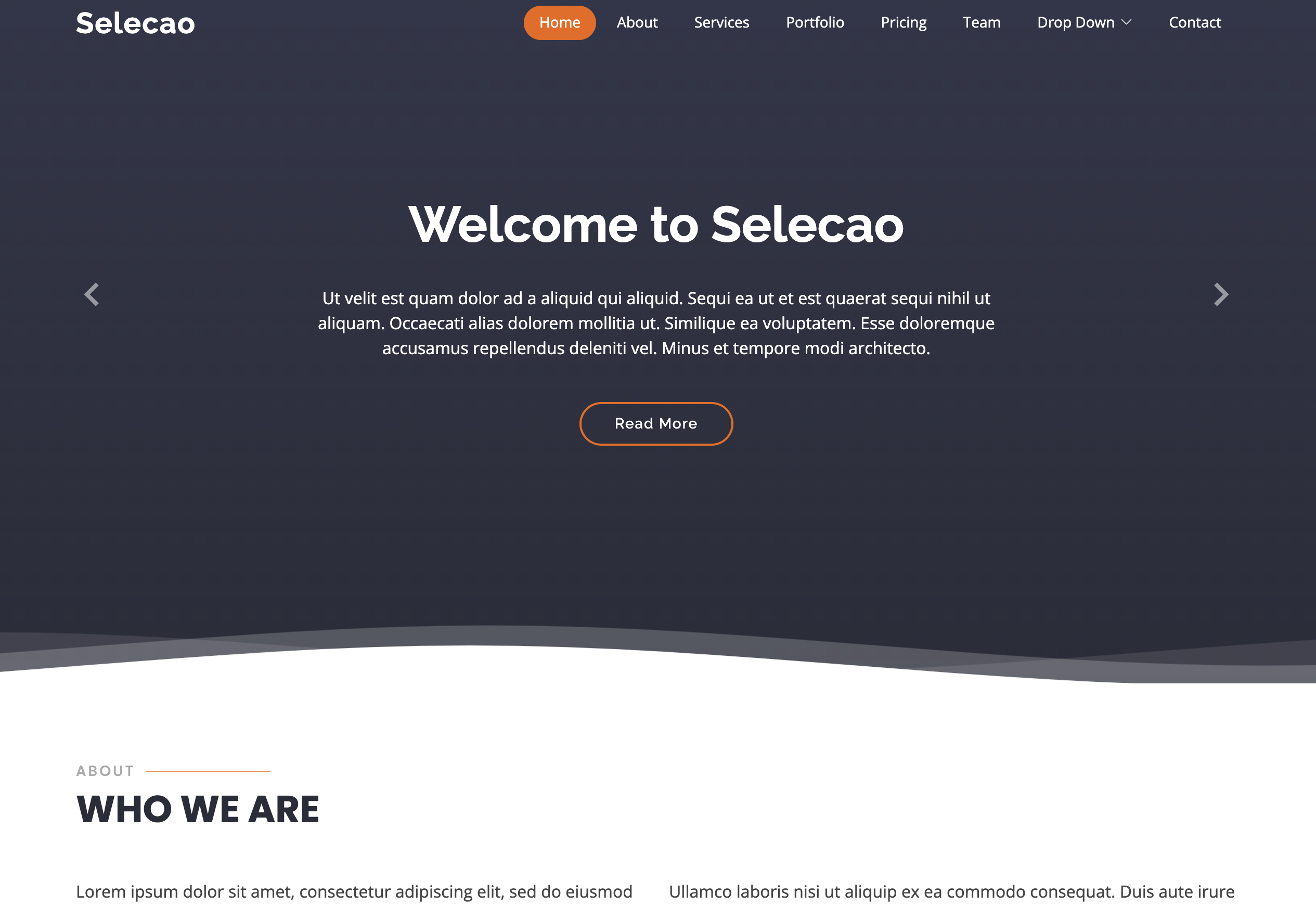 Modern website design portfolio - Reetse web development